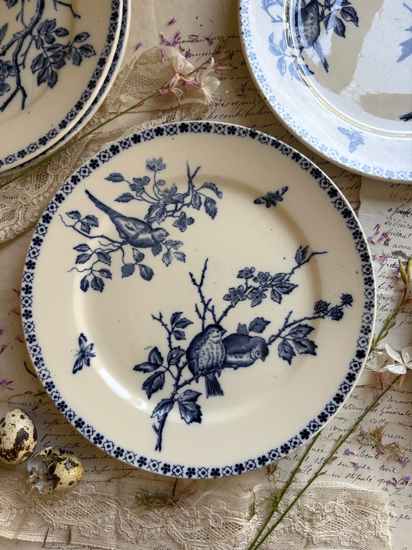 Set of Six Antique French Ironestone plates "Chanteurs" Blue Bird Decor
