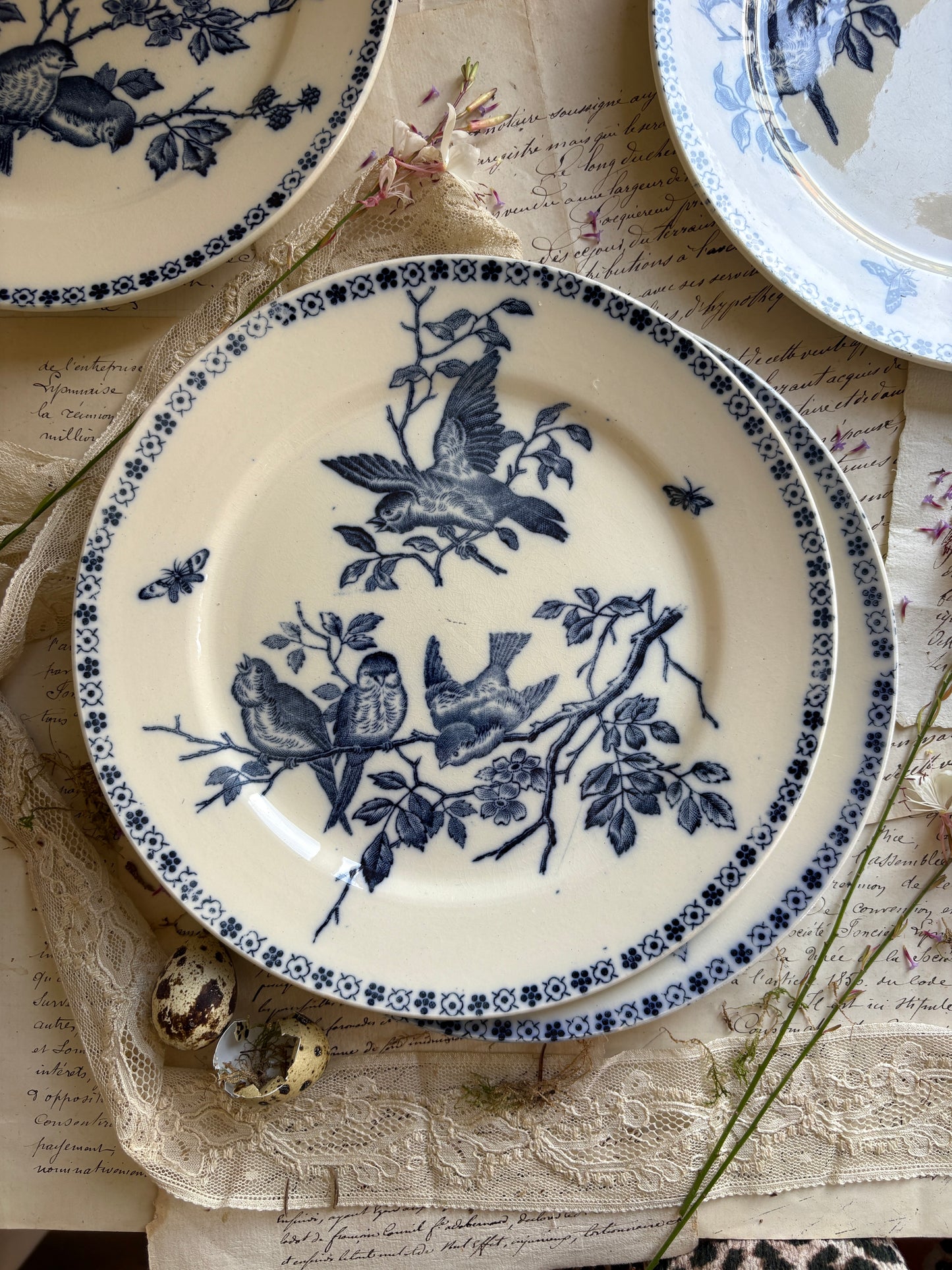 Set of Six Antique French Ironestone plates "Chanteurs" Blue Bird Decor