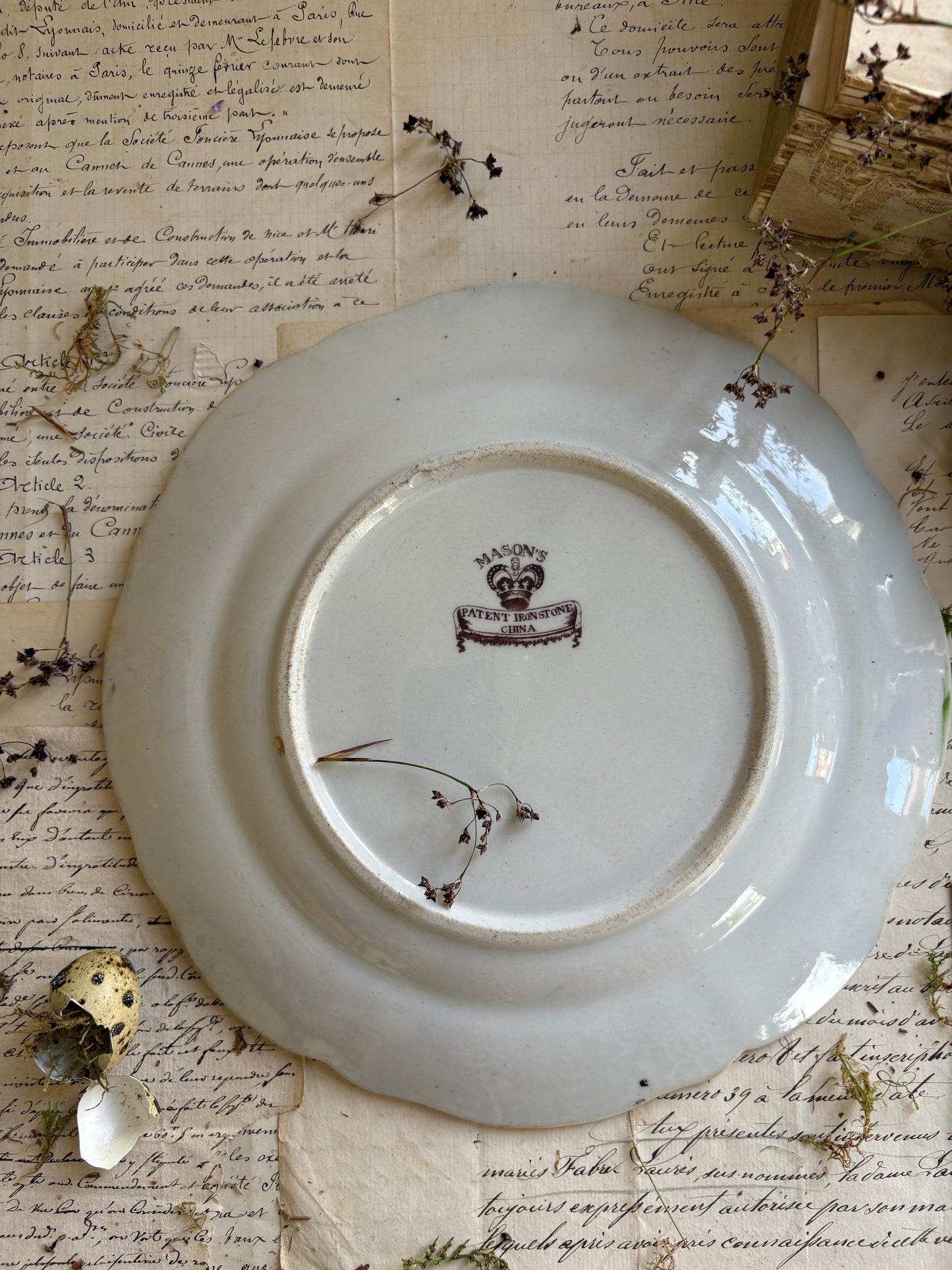 Rare Antique George IV Mason’s Patent Ironstone “Muscove Duck” Plate