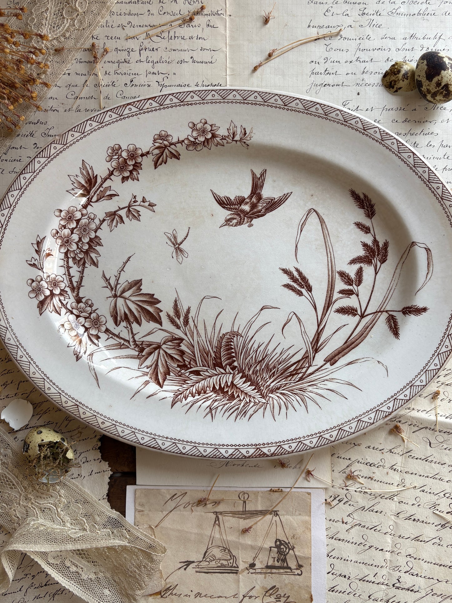 Antique Victorian T.G. Booth "Hawthorn" Brown Transferware Ironstone Platter
