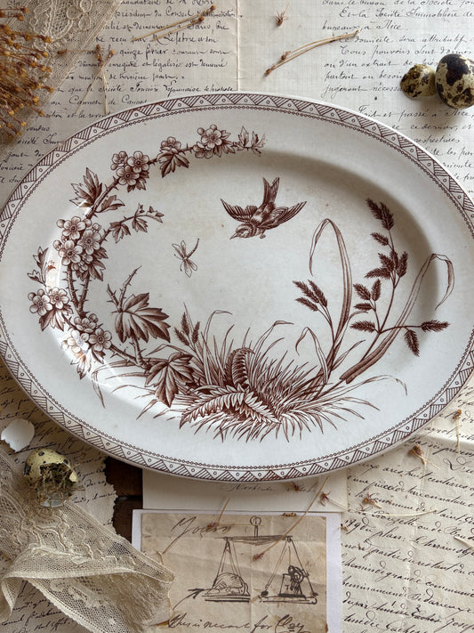 Antique Victorian T.G. Booth "Hawthorn" Brown Transferware Ironstone Platter
