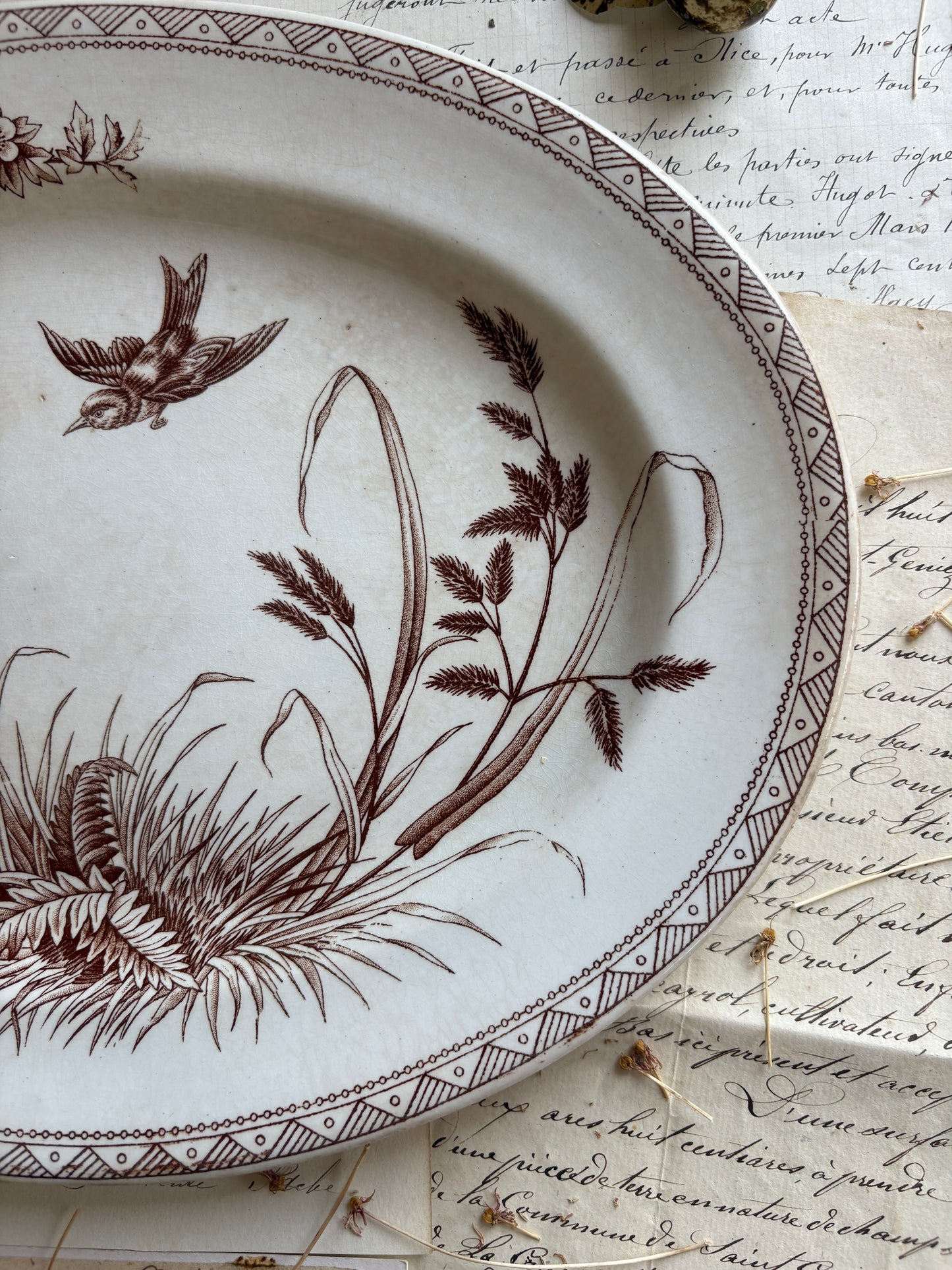 Antique Victorian T.G. Booth "Hawthorn" Brown Transferware Ironstone Platter
