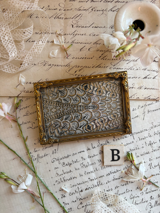 Vintage Photo Frames