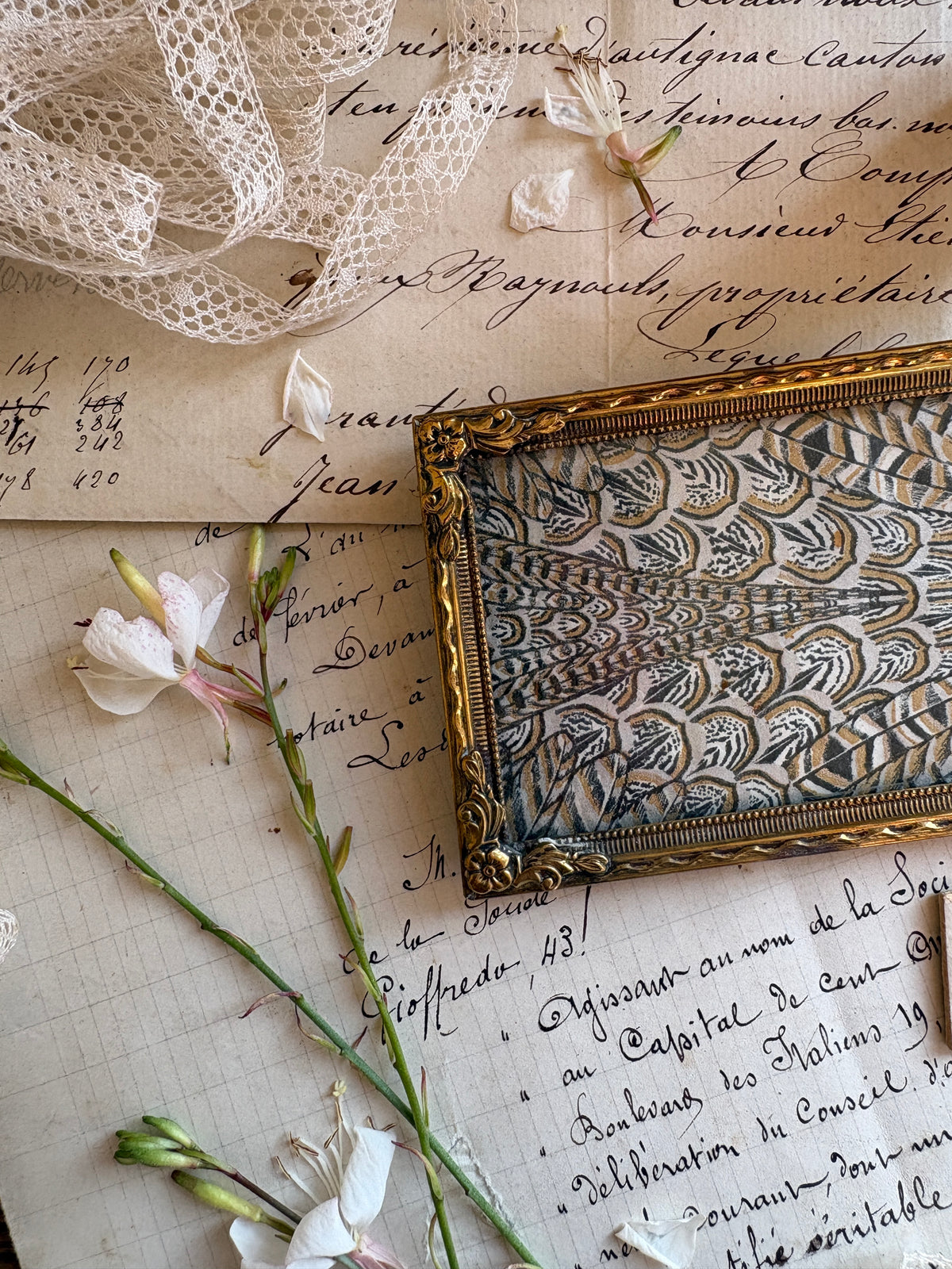 Vintage Photo Frames