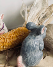 Load image into Gallery viewer, Adorable Mice Salt and Pepper Cruet Set
