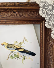 Load image into Gallery viewer, Antique Ornate Gold Frame
